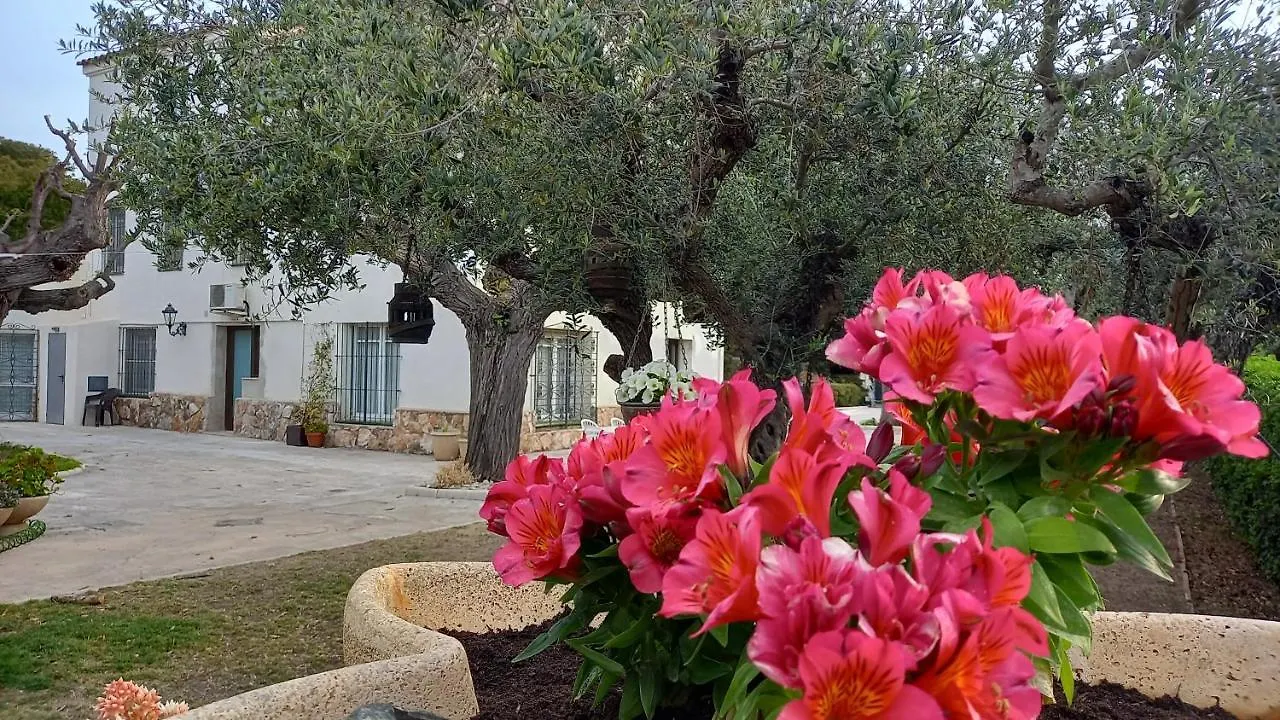 Guest house Apartments In Villa Isabel Altafulla