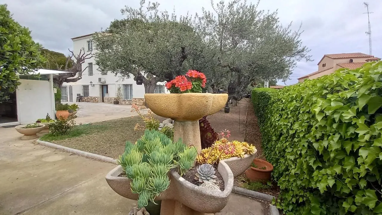 Apartments In Villa Isabel Altafulla